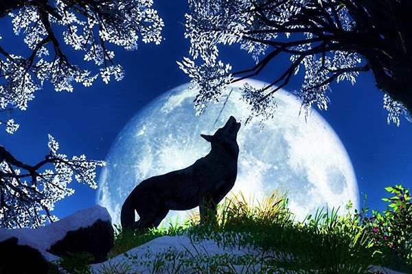 Вход кракен код